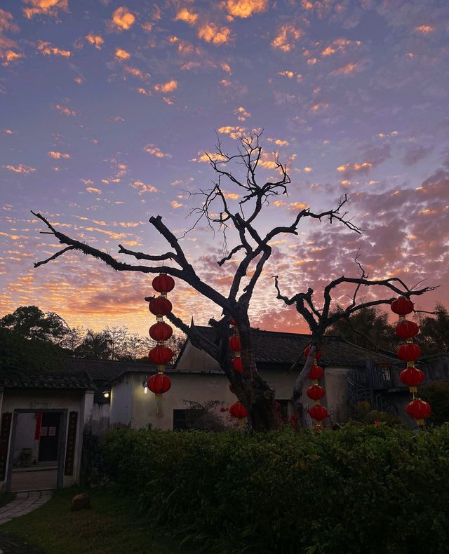 版畫村遇上色彩斑斕的油菜花海，太美太夢幻