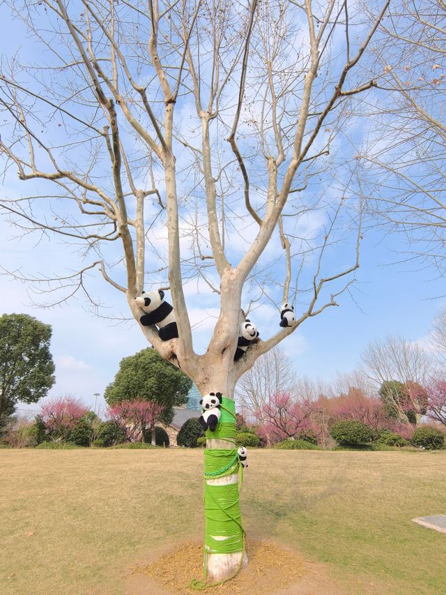 尋梅