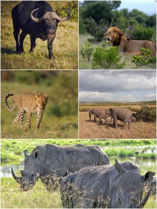 10-Day Kenya Tour: Your Ultimate Guide