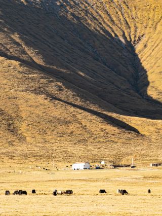 7-Day Tour of Xining, Qinghai—Qinghai Lake | Super Detailed Guide to Exploring the Beauty of Qinghai