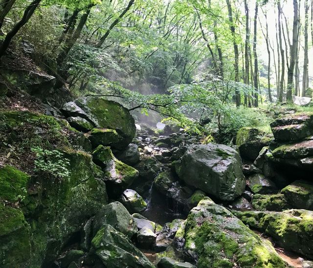 光州無等山國立公園藏着整個韓國的浪漫故事