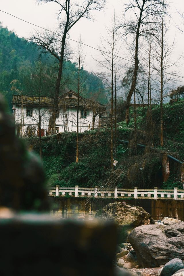 成都大邑星野雪山莊園，天然氧吧