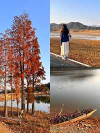 2025新春親子遊園推薦大戶外