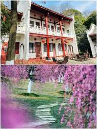 綿陽很美，但3月不建議來了跟著音樂去旅行