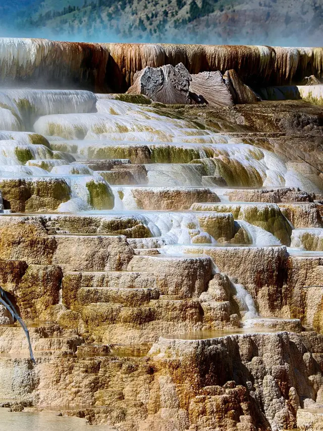 18-Day US Tour: The Perfect Getaway for Your Short Holiday