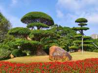 遊玩休閒好去處——南湖公園
