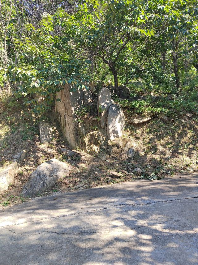 濟南-泰安-濟寧3日遊超火路線 不去後悔一輩子