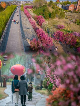 Spring arrives in Taierzhuang Ancient City, encountering a poetic scene.