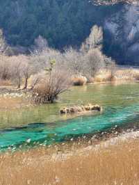 清明節去九寨溝5天玩轉攻略來啦