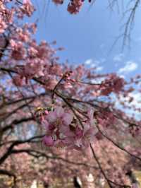 代々木公園での楽しいひととき