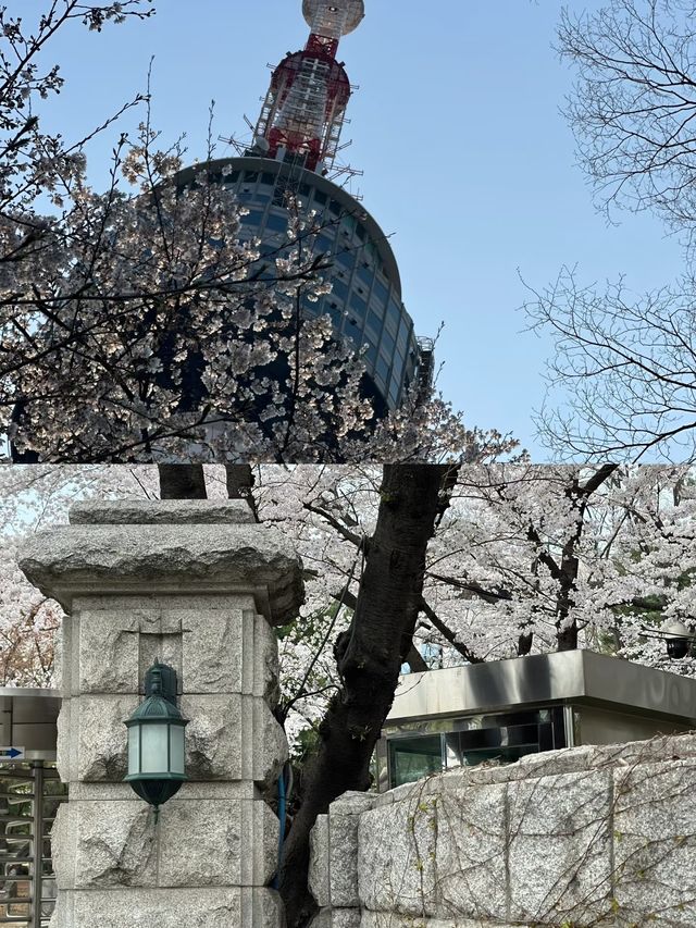 4月份出遊可以去的五個國家推薦