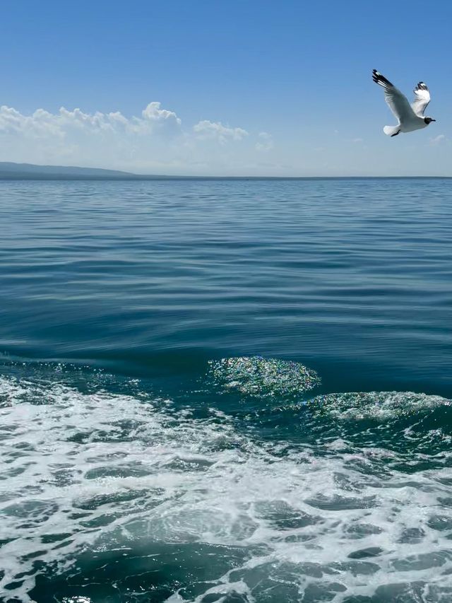 6日暢遊海北等地 玩轉美景不踩坑 6日暢遊海北等地 玩轉美景不踩坑