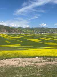 西寧等地7日遊 看這篇攻略就夠了
