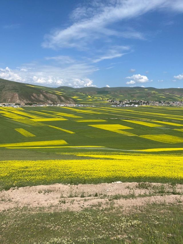 西寧等地7日遊 看這篇攻略就夠了