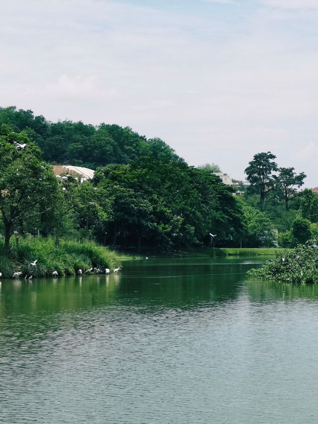 布城湖，繁華都市中的綠洲