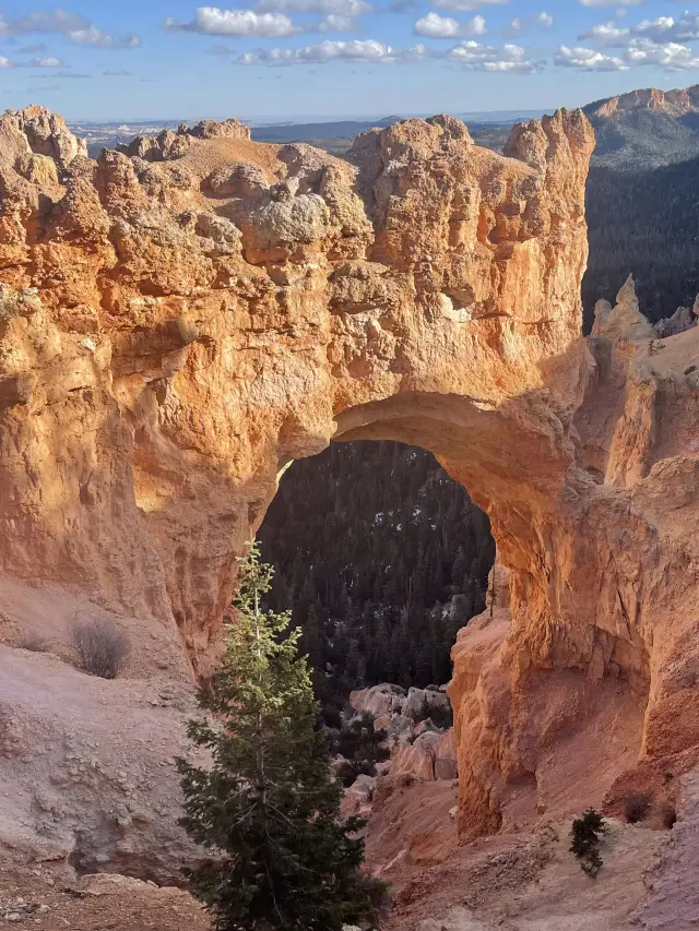 18-Day US Tour｜Must-Read Guide for Short Vacations