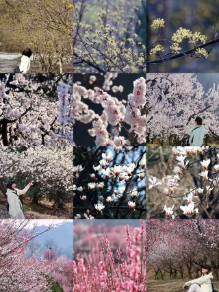 I Discovered the Perfect Small Town Near Xi'an for Qingming Festival