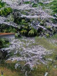 福州百林公園遊玩攻略