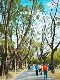 PEOPLE'S PARK in SPRING