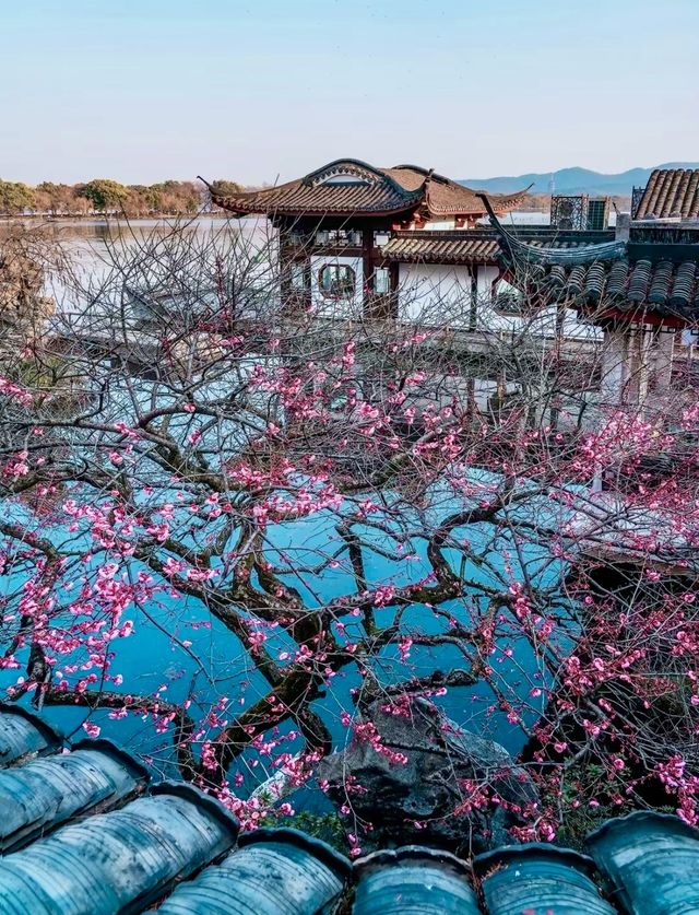 西湖風景名勝區遊玩攻略