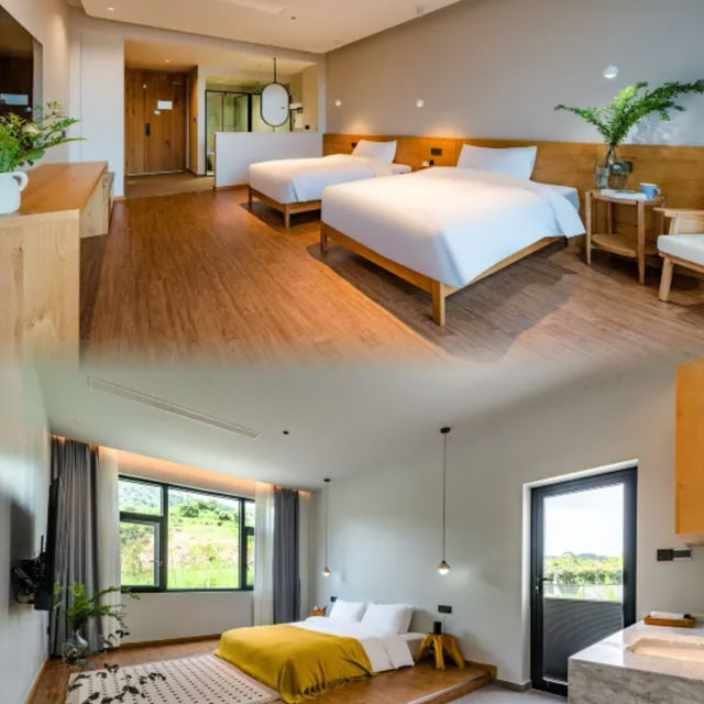Pet Paradise + Fruit & Veggie Picking: A Must-Try Family Trip in Jiangsu, Zhejiang & Shanghai