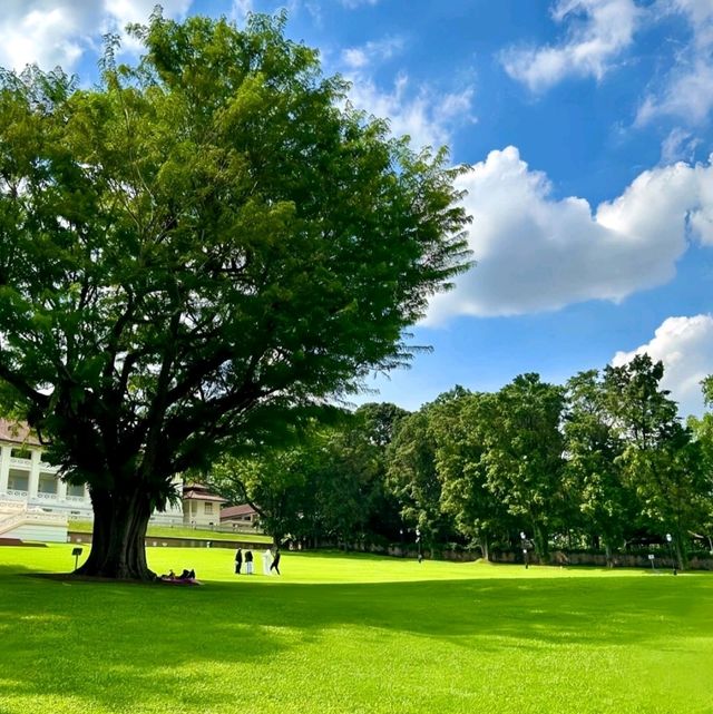 🎉《新加坡隱藏寶藏地，必去！》🎉