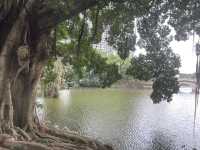 陽春春城公園｜在地人的偷閒日常秘密基地 🧃🌳