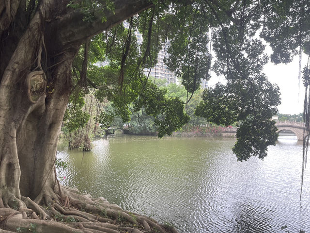 陽春春城公園｜在地人的偷閒日常秘密基地 🧃🌳