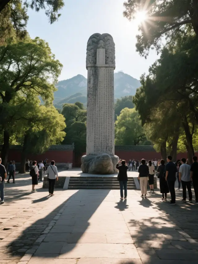 꼭 봐야 할 태안 다이묘 여행 팁, 놓치면 후회할지도 몰라요