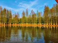 蘭湖旅遊度假區 | 邂逅浪漫湖光，開啟度假慢生活