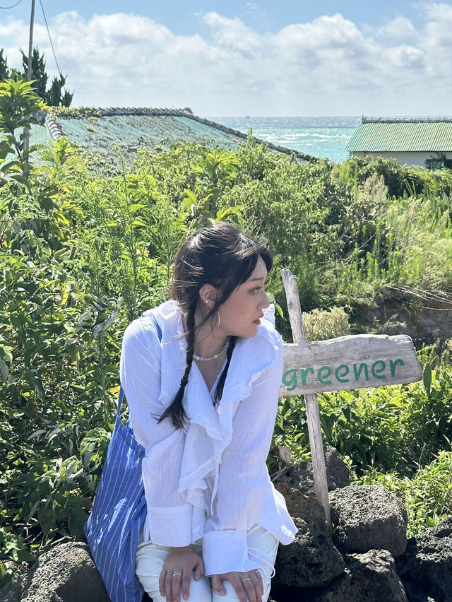 與儀公園賞櫻攻略：那霸市中心的粉色浪漫