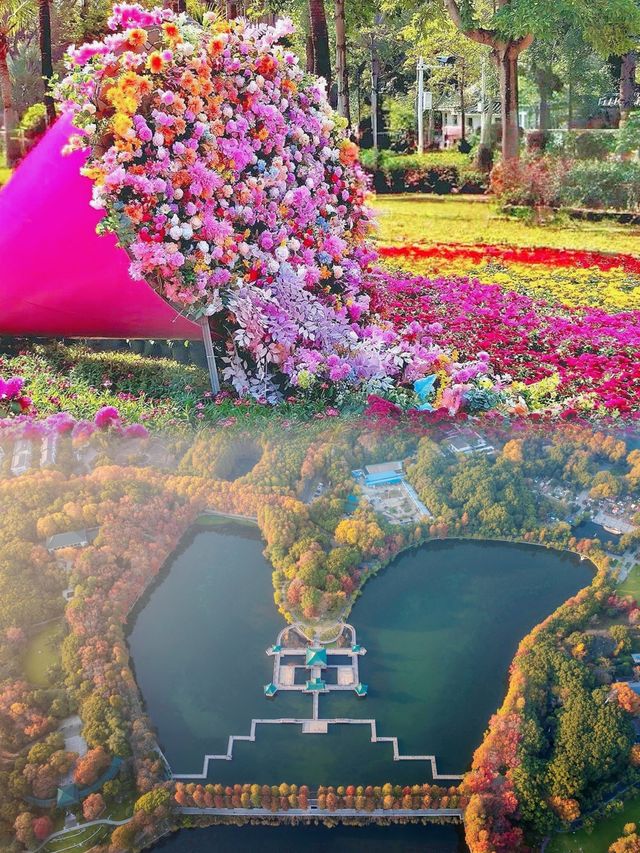 一湖秀水映江城，滿目盛景在東湖