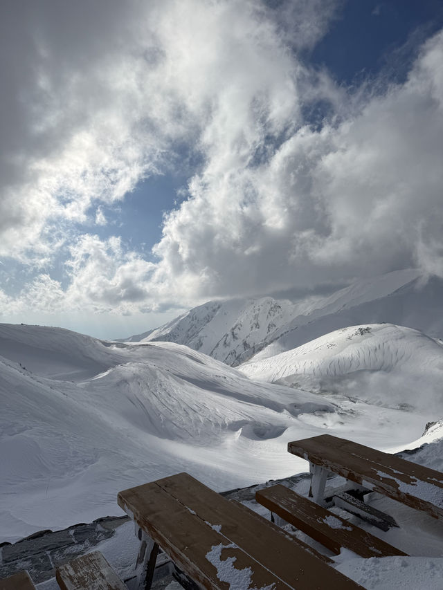 立山黑部：從暴風雪到晴空萬里的奇妙旅程