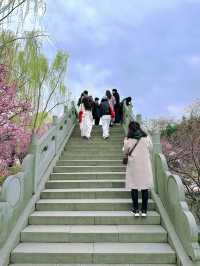 春日漫遊｜揚州東關街：當千年古街邂逅桃花雪