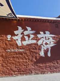 【感謝泊舍救我一命】