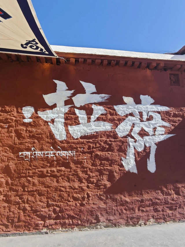 【感謝泊舍救我一命】