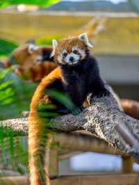 長春動植物園·西游記主題公園