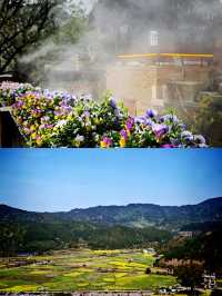 油菜花海醉遊人 婺源春日美如畫