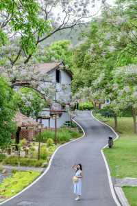 五一反向遊人少景美 住進連州山水間