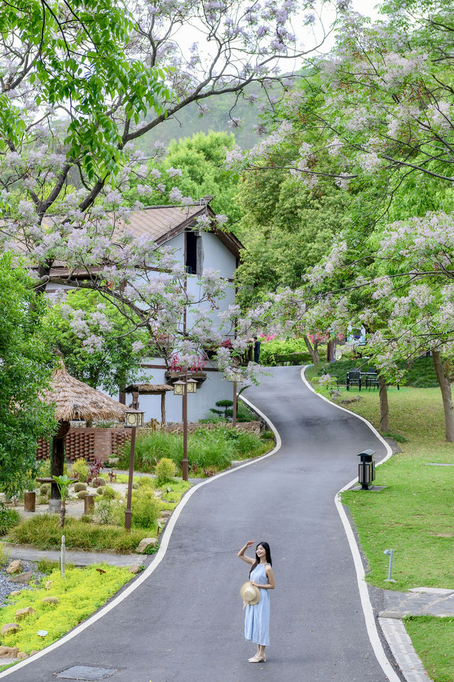 五一反向遊人少景美 住進連州山水間