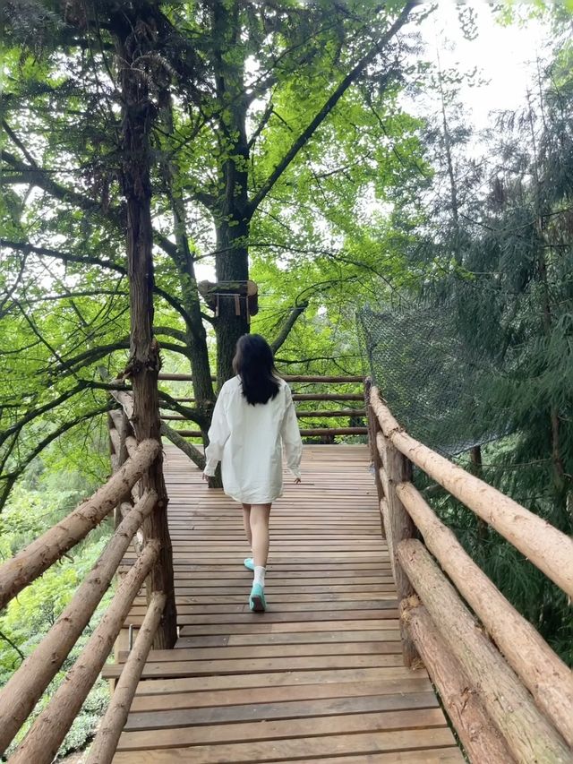 誰懂啊！！在雅安碧峰峽挖到一家神仙民宿