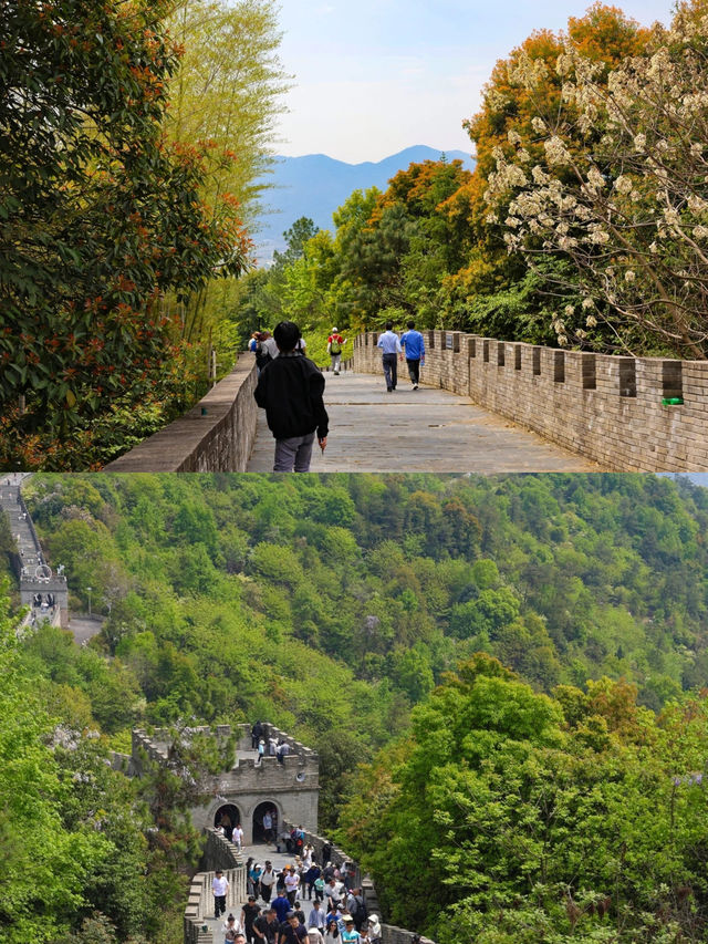 五一趣山野，南昌怪石嶺景區等你來解鎖！