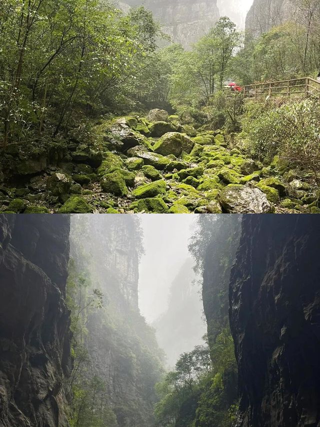 武隆天生三橋，真的不是神仙鑿出來的嗎？