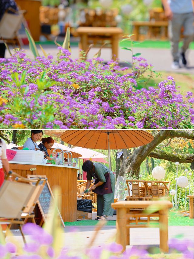 成都寶藏公園，適合一家大細嚟散步、飲茶
