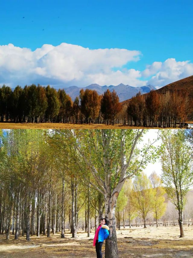 這裡是稻城，不是亞丁