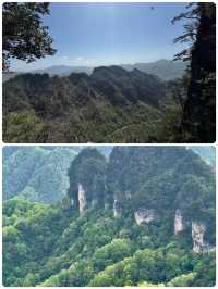 紅葉暴走！光霧山雲端撒歡手賬