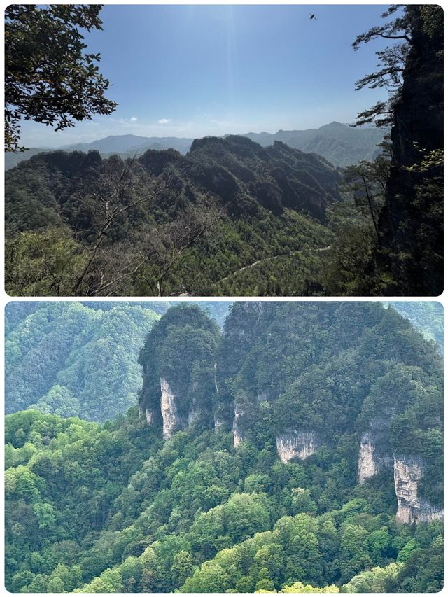 紅葉暴走！光霧山雲端撒歡手賬
