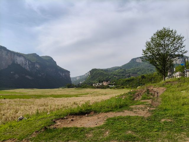 野紀河