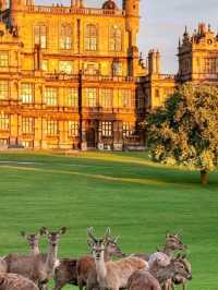  Wollaton Hall in Nottingham is Stunning♥️🌹
