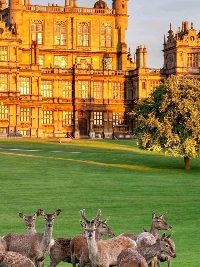  Wollaton Hall in Nottingham is Stunning♥️🌹
